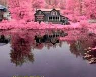 小火箭香港稳定节点-香港节点加速器推荐