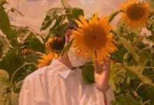 quantumult香港节点-香港节点加速器推荐