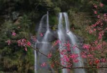 阿里云国际版香港节点-香港节点加速器推荐