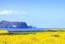 vpn香港节点玩英雄连2-香港节点加速器推荐