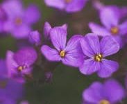 shadowrocket香港免费节点-香港节点加速器推荐