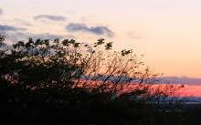 香港节点不能上Google-香港节点加速器推荐