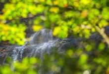 1205170645-香港节点加速器推荐