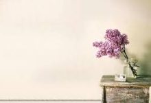 ss的香港节点咋没了-香港节点加速器推荐