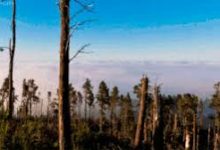 1205171036-香港节点加速器推荐