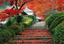 网易uu节点在香港 迅游在大陆-香港节点加速器推荐