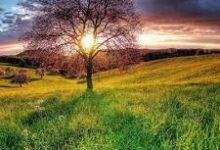 uu怎么开香港的节点-香港节点加速器推荐