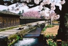 uu加速器只有香港节点是怎么回事-香港节点加速器推荐