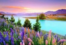 香港ssr节点是什么意思-香港节点加速器推荐