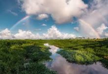 香港VPN推荐：HK付费节点软件排行榜-香港节点加速器推荐