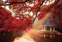 香港下载节点是那个名字-香港节点加速器推荐