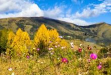 网易uu移动的用香港什么节点-香港节点加速器推荐