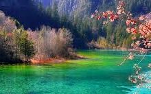 ss免费香港台湾节点-香港节点加速器推荐