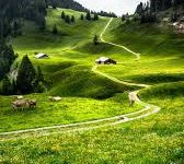 ss免节点费香港-香港节点加速器推荐