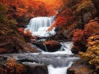 阿里云香港节点流量价格-香港节点加速器推荐