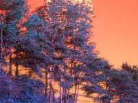 阿里云的香港节点可以翻墙吗-香港节点加速器推荐