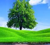 香港近代史的关键节点-香港节点加速器推荐