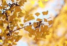 香港修例风波时间节点-香港节点加速器推荐