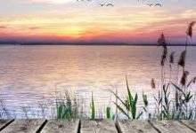 阿里云香港节点怎么买-香港节点加速器推荐