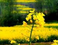 为什么uu没有香港节点-香港节点加速器推荐