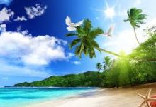 网易加速器用香港节点吗-香港节点加速器推荐