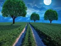 怎么连香港网络加速节点-香港节点加速器推荐