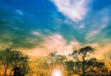 warface香港节点丢包-香港节点加速器推荐