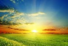 奈飞上不了香港节点-香港节点加速器推荐