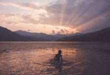 apex香港节点-香港节点加速器推荐