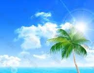 香港节点扶墙vps-香港节点加速器推荐