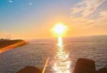 免费节点每天更新香港-香港节点加速器推荐