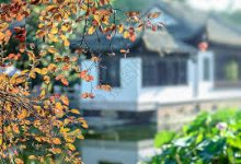 ssr香港节点节点分享-香港节点加速器推荐