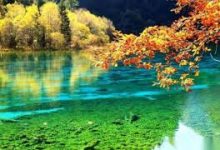 香港高防节点1默认页-香港节点加速器推荐