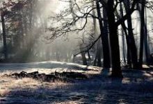 阿里云香港节点 1m-香港节点加速器推荐