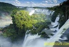 暮梅香港免费节点-香港节点加速器推荐