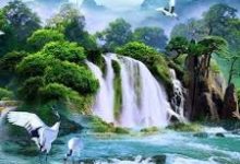 阿里云轻服务器香港节点-香港节点加速器推荐