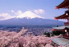 暴雪战网香港节点-香港节点加速器推荐