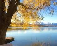 迅游找不到香港节点-香港节点加速器推荐