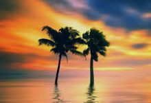 绝地求生香港节点明称-香港节点加速器推荐