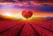 手机怎么挂香港节点-香港节点加速器推荐