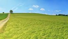 香港节点腾讯云好还是阿里云好-香港节点加速器推荐