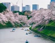 连香港节点-香港节点加速器推荐