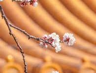 香港节点3-香港节点加速器推荐