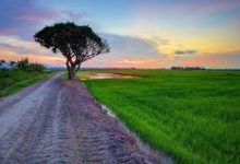 阿里云香港节点ssr-香港节点加速器推荐