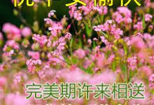 最佳TikTok及微信VPN-香港节点加速器推荐