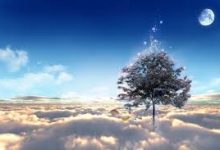 香港3.31为一个节点-香港节点加速器推荐