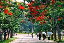 HK香港VPN推荐排名-香港节点加速器推荐