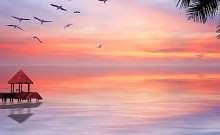 网飞用美国节点还是香港-香港节点加速器推荐