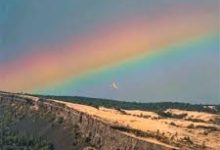 香港进修移民时间节点-香港节点加速器推荐
