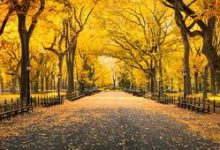 TikTok抖音翻墙软件/梯子/科学上网工具推荐-香港节点加速器推荐